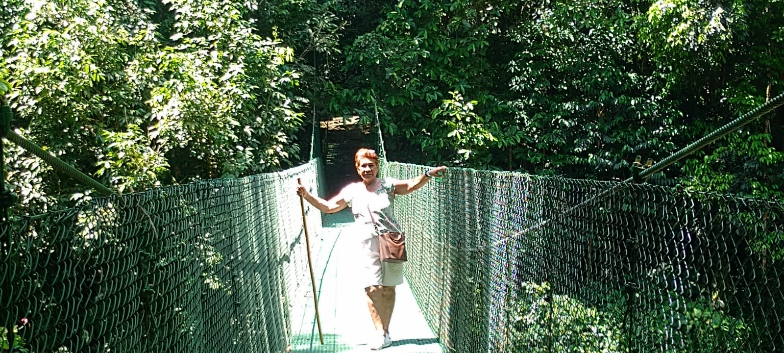 Puente colgante de malla camino a la Catarata Dos Amigos