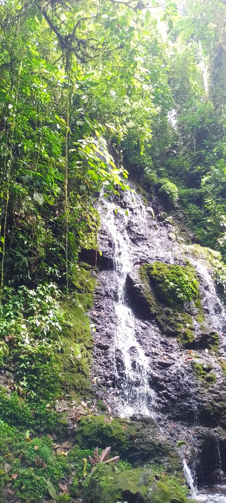 Vista del sendero hacia las pozas de la Presa