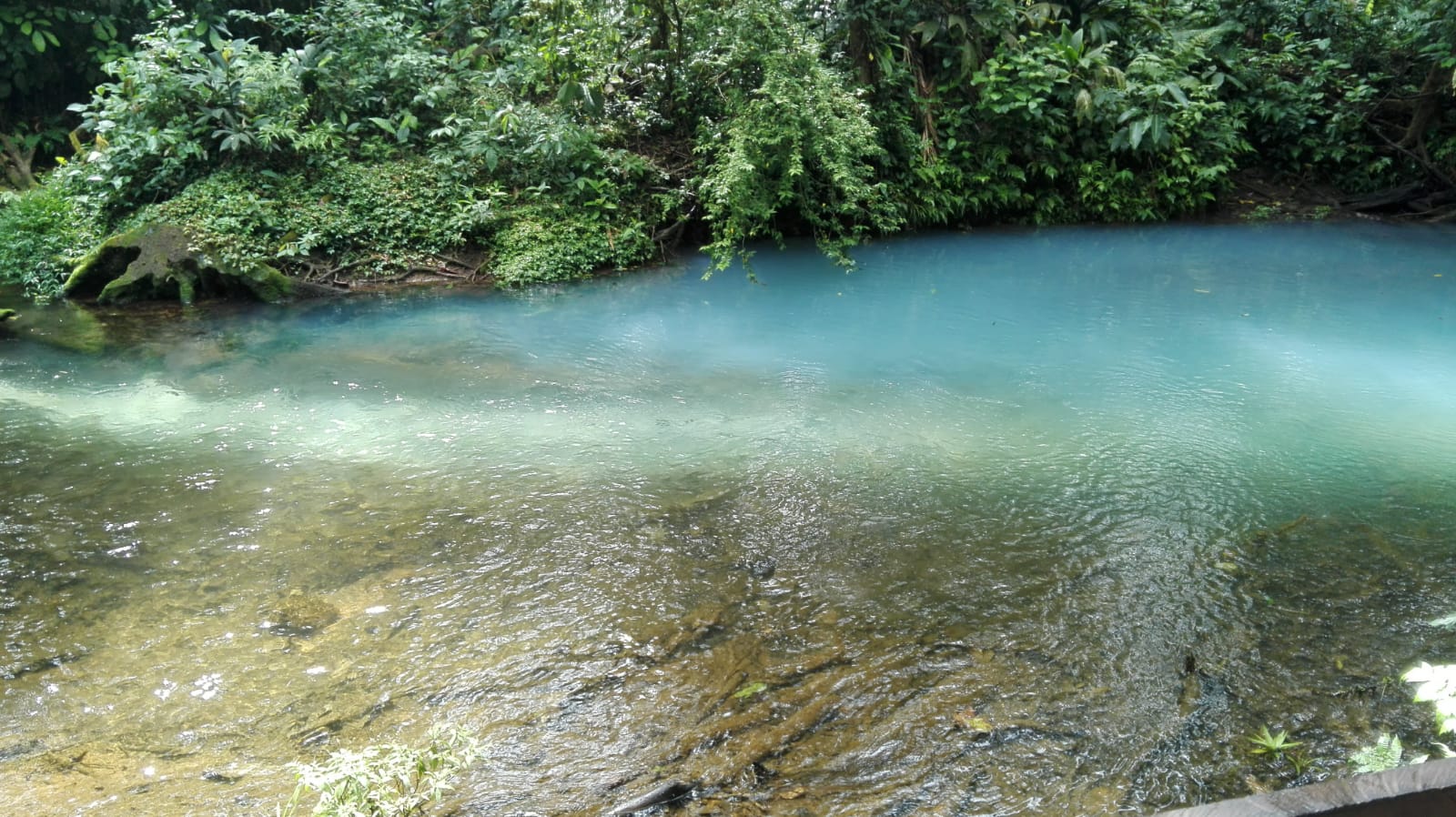Aguas turquesa del Río Celeste
