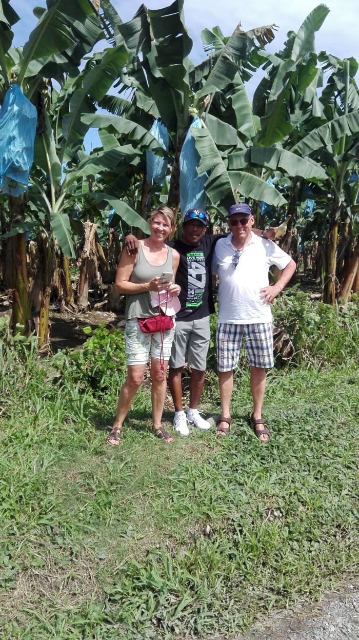 Plantación bananera cerca de Puerto Limón