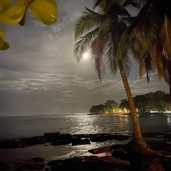 Playa de noche con luna llena y palmeras en Puerto Viejo