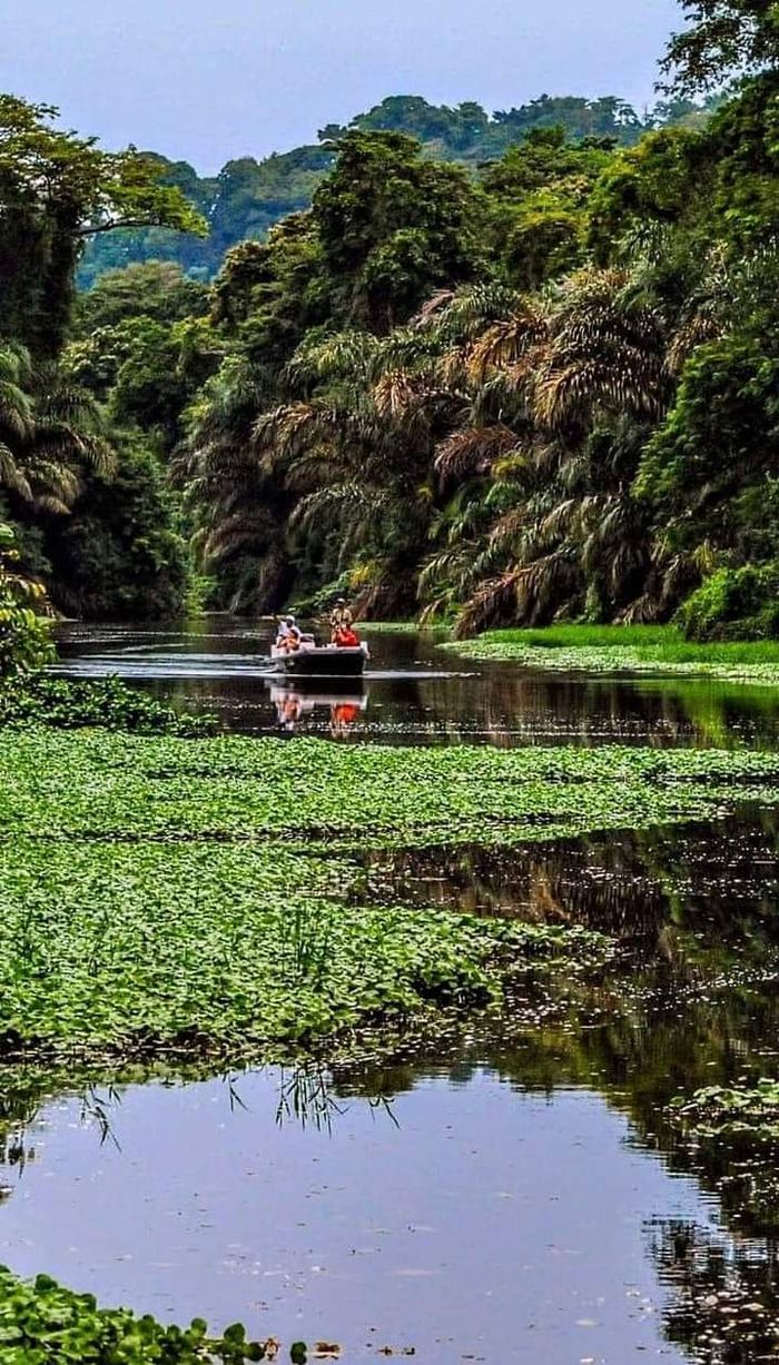 Bote recorriendo los canales de Tortuguero