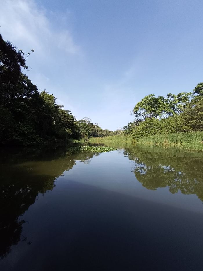 Río dentro de los canales de Tortuguero